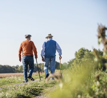 Two old friends taking a stroll through the fields, talking about old times - UUF15449