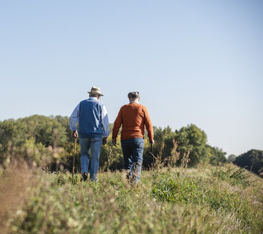 Two old friends taking a stroll through the fields, talking about old times - UUF15457