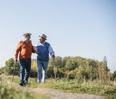 Two old friends taking a stroll through the fields, talking about old times - UUF15461