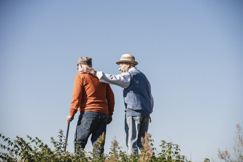 Two old friends taking a stroll through the fields, talking about old times - UUF15466