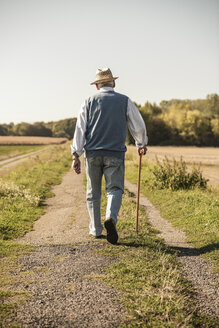 Senior man with a walking stick, walking in the fields, rear view - UUF15496