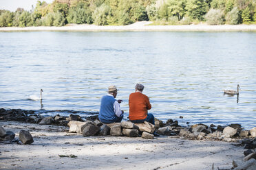 Zwei alte Freunde sitzen am Flussufer und beobachten Schwäne - UUF15500