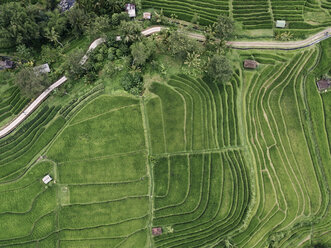 Blick von oben auf ein terrassiertes Feld in einem Dorf - CAVF50023