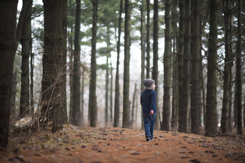 Rückansicht eines Jungen, der im Park unter Bäumen auf Entdeckungsreise geht - CAVF50028