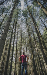 Low angle view of man standing amidst trees in forest - CAVF50125