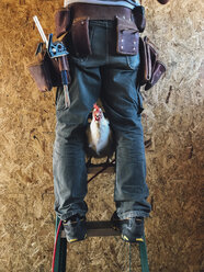 Niedriger Ausschnitt eines Mannes mit Huhn, der auf einer Leiter an der Wand einer Scheune steht - CAVF50278
