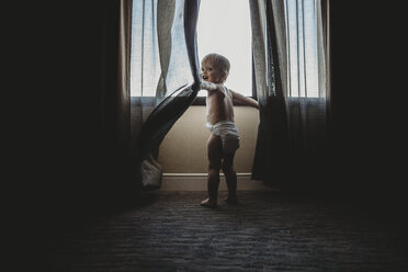 Rückansicht eines hemdsärmeligen kleinen Jungen, der mit Vorhängen spielt, während er zu Hause am Fenster steht - CAVF50309