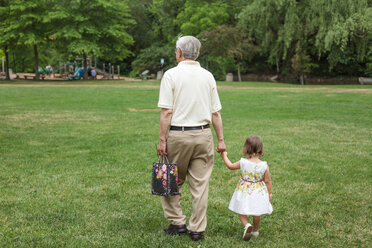 Rückansicht des Großvaters, der die Hände seiner Enkelin hält, während er auf einer Wiese im Park spazieren geht - CAVF50405