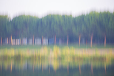 Moving image of trees on the lake - SKCF00551