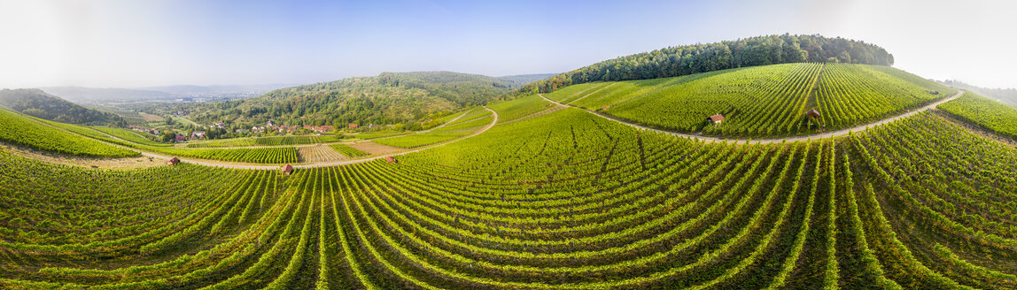 Deutschland, Baden-Württemberg, Luftaufnahme der Weinberge im Gundelsbachtal - STSF01767