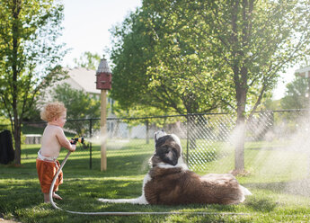 Seitenansicht des hemdlosen kleinen Jungen, der mit einem Schlauch Wasser auf einen Hund spritzt, während er im Hof steht - CAVF50531