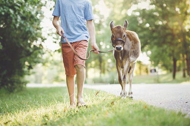 Niedriger Ausschnitt eines Jungen mit Kalb, der auf einer Wiese vor Bäumen in einem Park läuft - CAVF50585