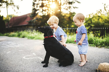 Kleinkind und seine kleine Schwester spielen mit Hund im Freien - HAPF02787