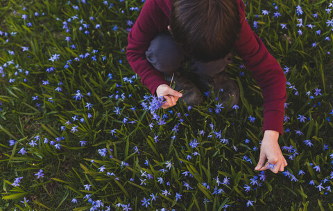 Hoher Blickwinkel eines Jungen, der auf einem Feld im Park hockt und Blumen pflückt, lizenzfreies Stockfoto