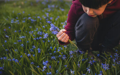 Junge pflückt Blumen, während er auf einem Feld im Park hockt - CAVF50600