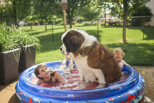 Geschwister mit Hund schwimmen im Planschbecken auf dem Hof - CAVF50637