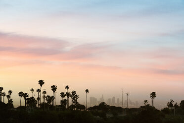 Low angle view of silhouette palm trees against sky in city during sunset - CAVF50701
