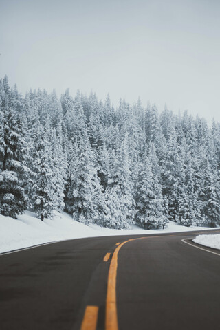 Leere Straße inmitten schneebedeckter Bäume im Wald gegen den Himmel, lizenzfreies Stockfoto