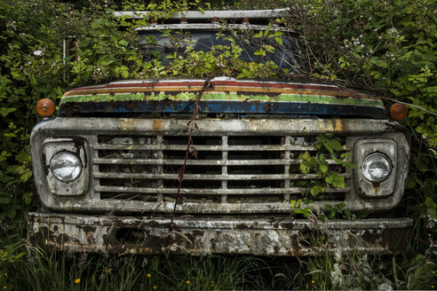 Verlassenes Auto auf einem Feld im Wald - CAVF50941