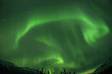 Niedriger Blickwinkel auf Nordlichter im Northern Rocky Mountains Provincial Park - CAVF50945