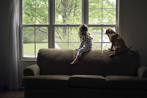 Seitenansicht von Mädchen und Hund, die durch das Fenster schauen, während sie zu Hause auf dem Sofa sitzen, lizenzfreies Stockfoto