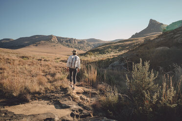 Rear view of hiker with backpack walking on field against clear sky during sunny day - CAVF51014