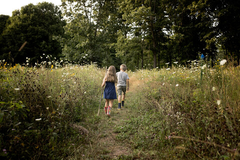 Rückansicht von Geschwistern auf dem Feld, lizenzfreies Stockfoto