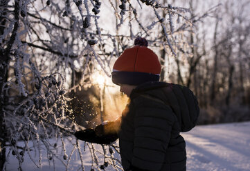 Side view of boy standing by frozen bare tree in forest during sunset - CAVF51061