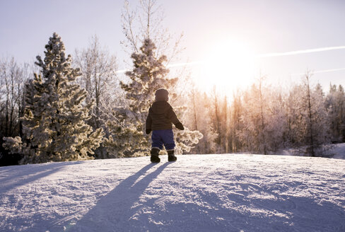 Rückansicht eines Jungen, der auf einem schneebedeckten Feld im Wald steht - CAVF51062