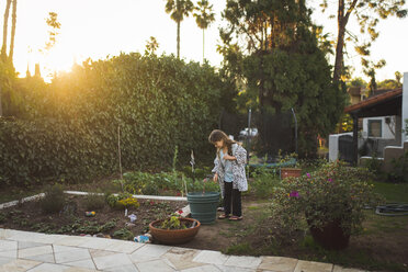 Girl looking at plant while standing in yard during sunset - CAVF51097