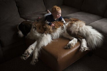 Hohe Winkel Ansicht von Baby Junge liegt auf Hund im Wohnzimmer - CAVF51119
