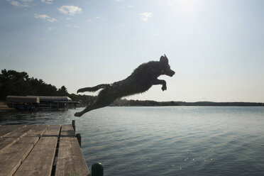 Seitenansicht eines in den See springenden Hundes gegen den Himmel - CAVF51146