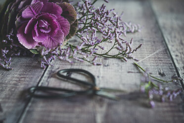 Close-up of ornamental cabbage with flowers and scissor on wooden table - CAVF51308