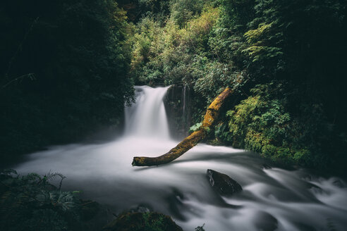 Majestätischer Blick auf den Wasserfall im Wald - CAVF51340