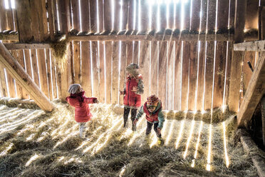 Three little girls playing together in a hey barn - PSIF00126
