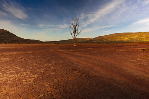 Afrika, Südafrika, Landschaft - ZEF16043