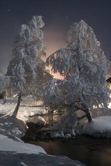 Chena Hot Springs bei schneebedeckten Bäumen in der Nacht - CAVF51401