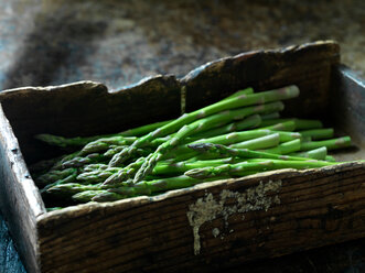 Fresh asparagus - CUF46387