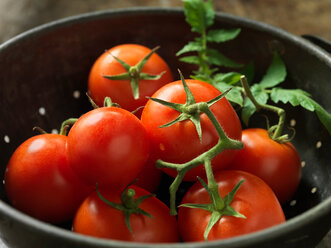 Vine tomatoes - CUF46428