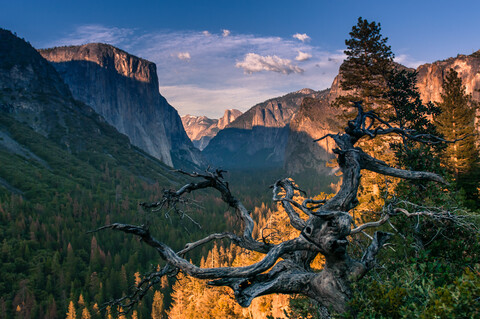 Yosemite-Nationalpark, Kalifornien, USA, lizenzfreies Stockfoto