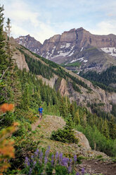 Mann beim Wandern, Mount Sneffels, Ouray, Colorado, USA - ISF20093