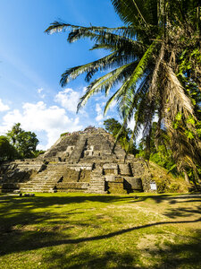 Mittelamerika, Belize, Yucatan-Halbinsel, New River, Lamanai, Maya-Ruine, Hoher Tempel - AMF06121