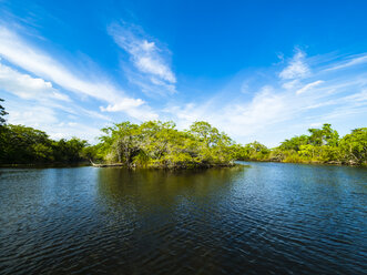 Mittelamerika, Belize, Yucatan-Halbinsel, New River, Lagune - AMF06124