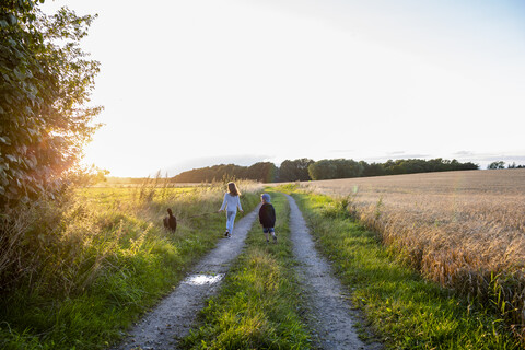 Zwei Kinder mit einem Hund gehen bei Sonnenuntergang auf einem Feldweg spazieren, lizenzfreies Stockfoto