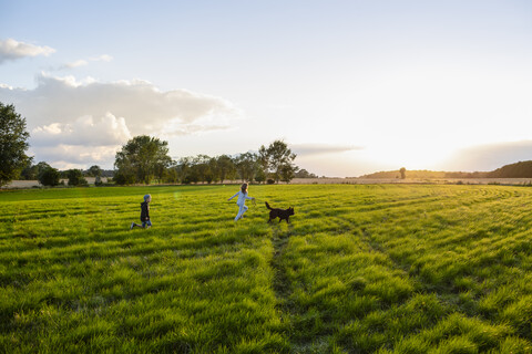 Zwei Kinder mit einem Hund laufen bei Sonnenuntergang über ein Feld, lizenzfreies Stockfoto