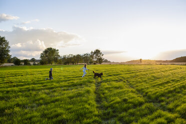 Zwei Kinder mit einem Hund laufen bei Sonnenuntergang über ein Feld - OJF00268