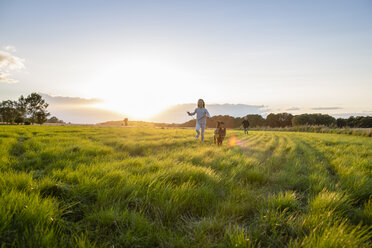 Zwei Kinder mit einem Hund laufen bei Sonnenuntergang über ein Feld - OJF00269