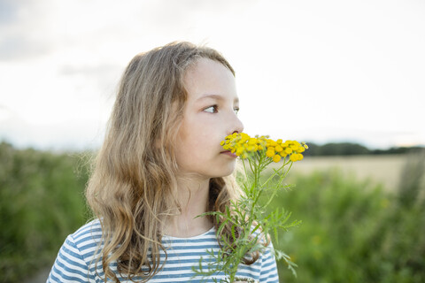 Mädchen in der Natur riecht an einer Wildblume, lizenzfreies Stockfoto