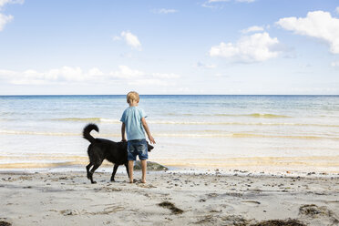 Junge streichelt Hund am Strand - OJF00281