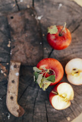 Nahaufnahme eines rostigen Messers und Äpfel auf einem Baumstumpf - CAVF51500